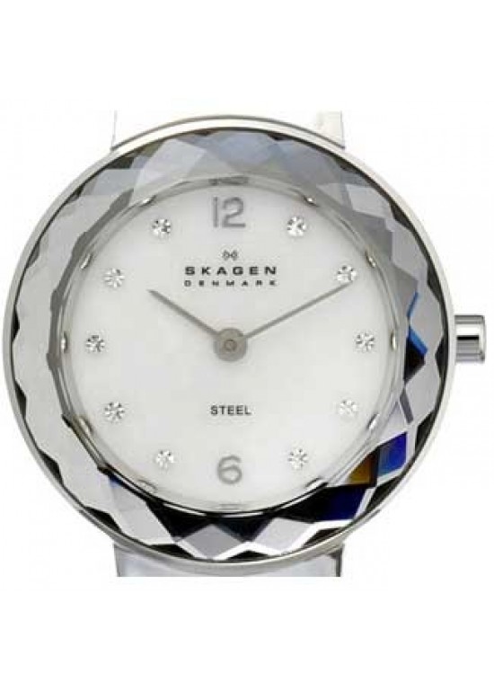 Skagen Leather Collection Stainless Steel Ladies Watch - 456SSLW-dial