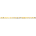 14K Yellow Gold Diamond-Cut 2.5mm Extreme Lightweight Rope 6" chain